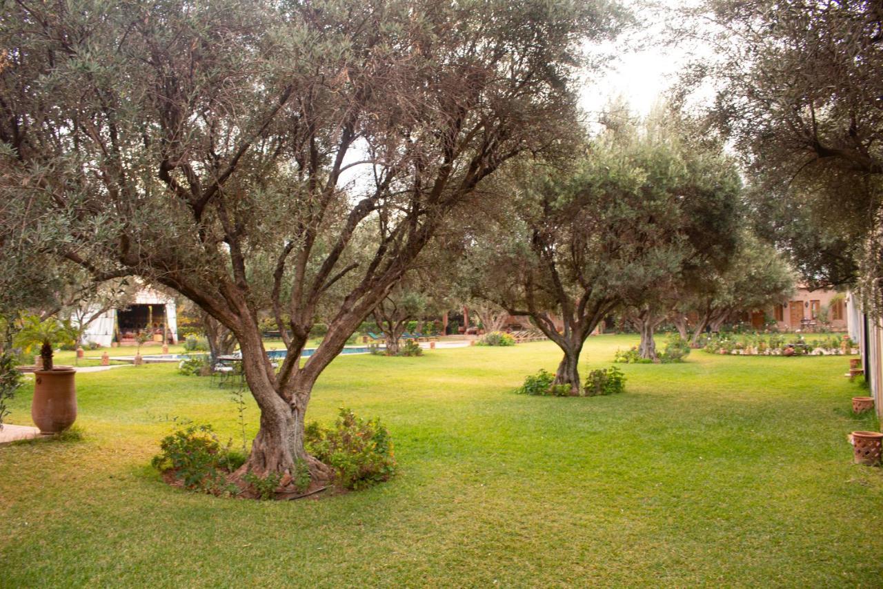 Greenlife Marrakech Марракеш Екстер'єр фото