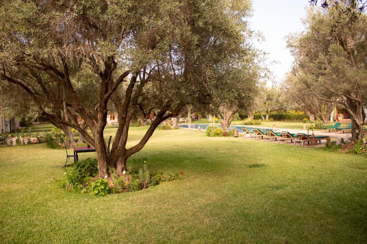 Greenlife Marrakech Марракеш Екстер'єр фото