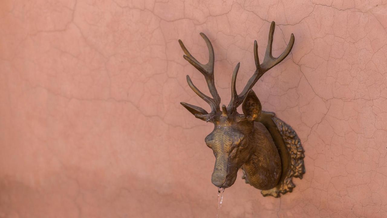 Greenlife Marrakech Марракеш Екстер'єр фото